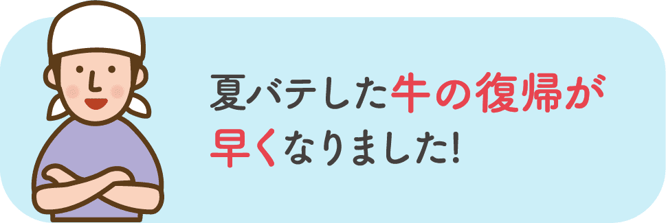 夏バテした牛の復帰が早くなりました!